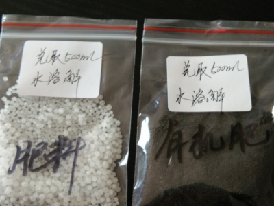 野生中药大叶仙茅（ 独茅根）种苗、仙茅盆栽、肥料