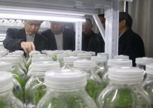 湖南省经济和信息化委员会副主任黄宝林率队赴安仁开展中药材产业调研