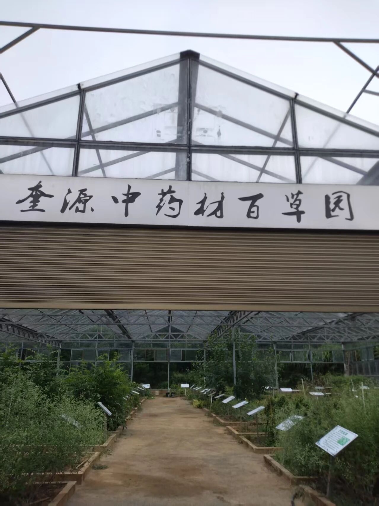 1790567974552305.jpg